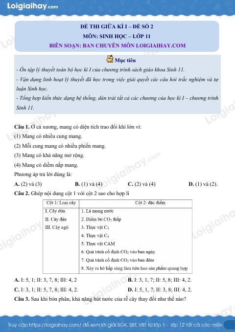 Đề kiểm tra giữa kì 1 Sinh 11 - Đề số 2 có lời giải chi tiết